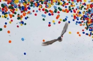 电竞世界杯-阅兵放飞信鸽翻车现场：不少鸽子“越狱”，原因曝光让养鸽人泪崩